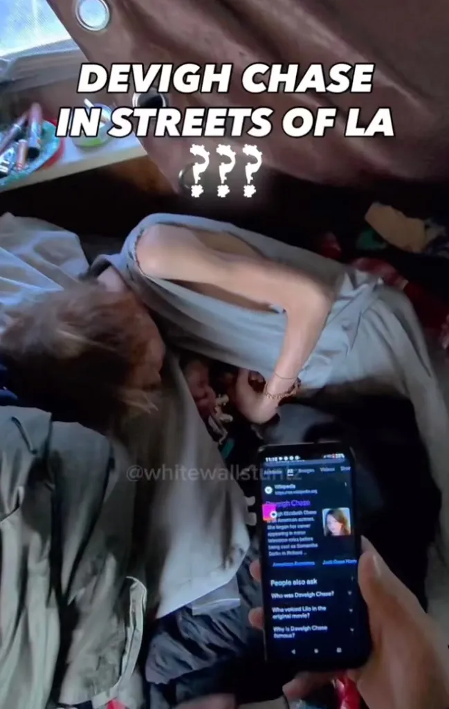 A person holding a phone with a Wikipedia page for Daveigh Chase open, next to a person sleeping in disheveled surroundings with the text 