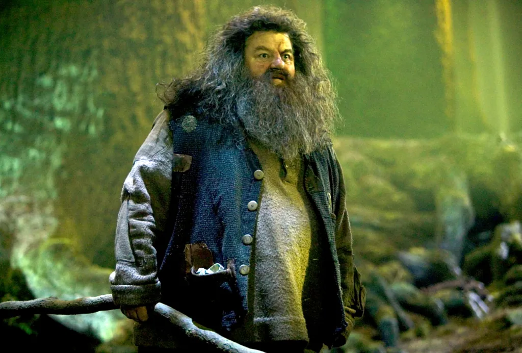 Robbie Coltrane as Hagrid from the movie Harry Potter and the Order of the Phoenix.