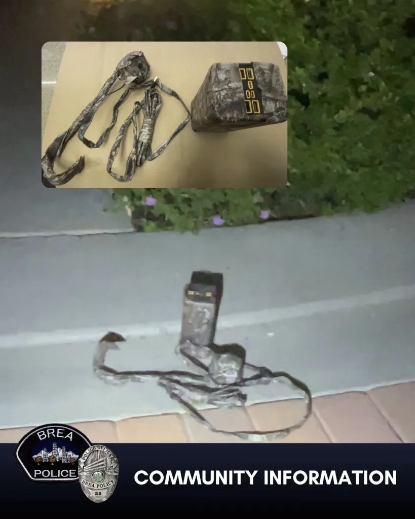Collage of two images showing camouflaged hidden cameras.