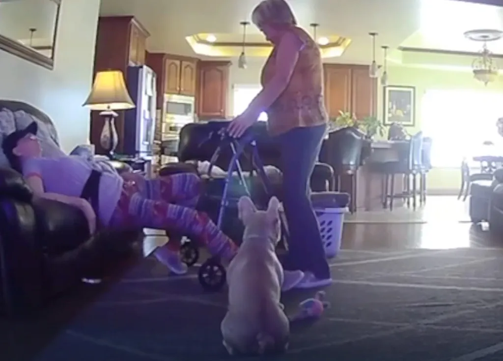 Security footage of an elder abuse case with a woman in a purple shirt and black hat lying on a chair, while a caregiver in a brown shirt and black pants stands over her with a walker.