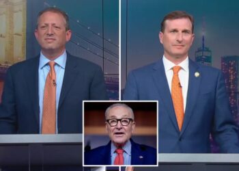 Sen. Chuck Schumer thrown under the bus during House debate between Dan Goldman and Brad Lander