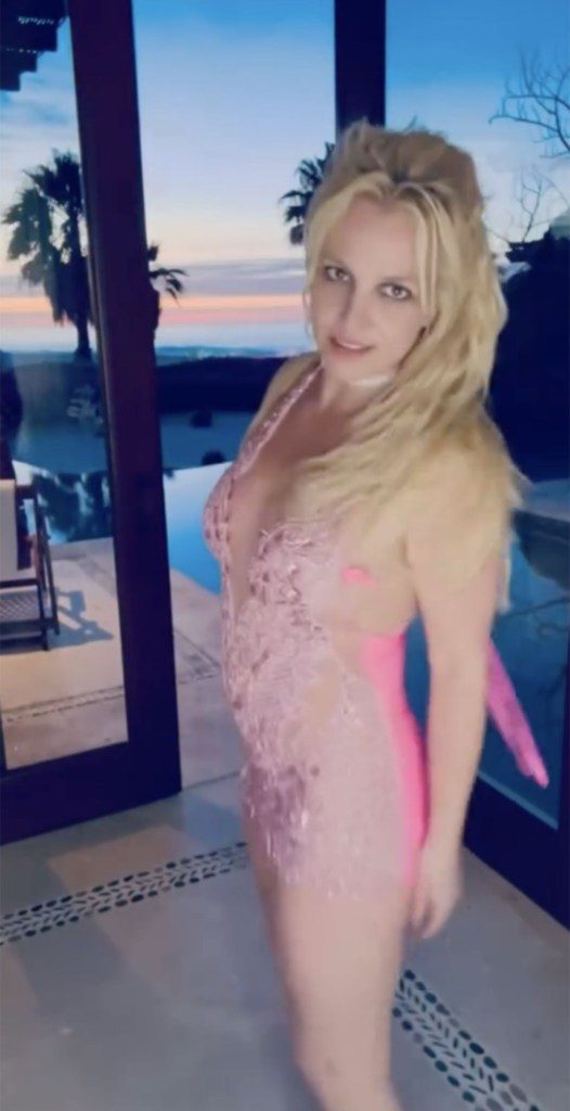 Britney Spears posing in a sheer pink dress with a sunset and palm trees in the background.
