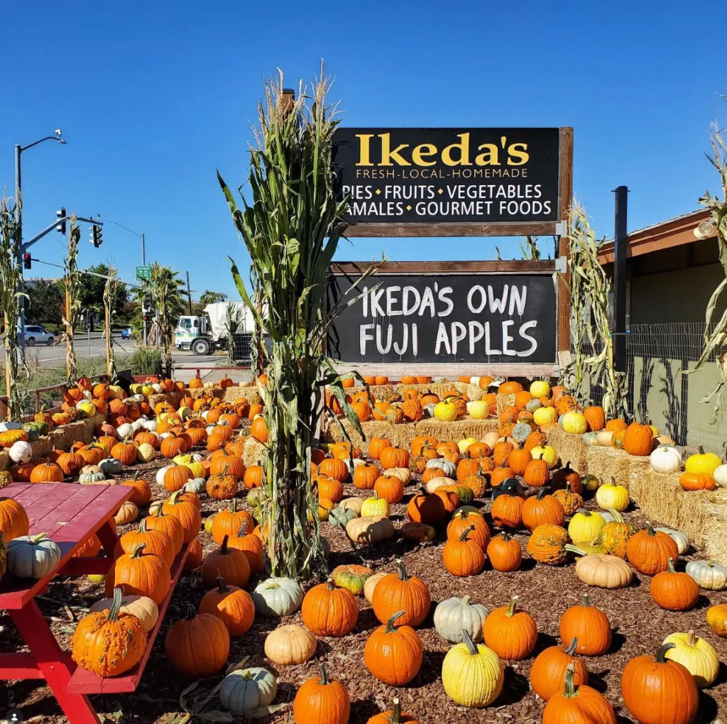 Ikeda's California Country Market with signage and many pumpkins and gourds on display.