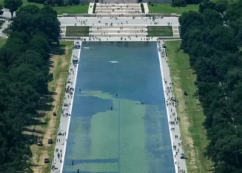 Trump’s reflecting pool mess is just the latest self-made crisis he is blaming on others