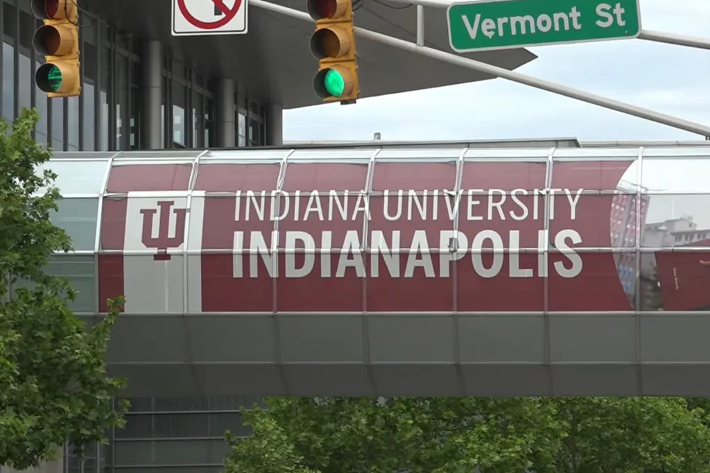 Scrogham had just graduated in May as a top-100 student from Indiana University's prestigious Kelley School of Business.