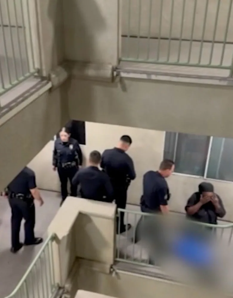 Police officers surrounding a person distraught over a dead dog, partially obscured by a blurred blue blanket.