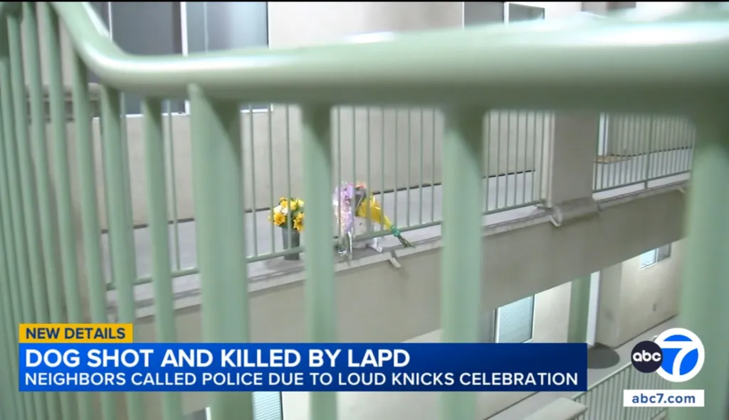 A news still from ABC7 about a dog shot and killed by LAPD, with the text
