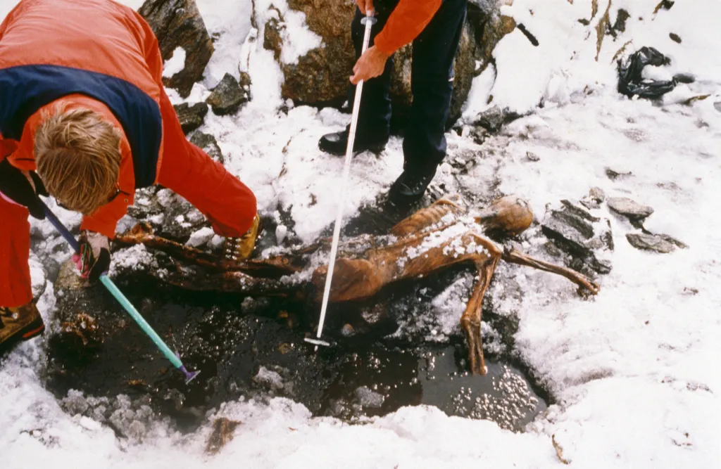 Archaeologists with tools examining Ötzi the Iceman discovered in a glacier.
