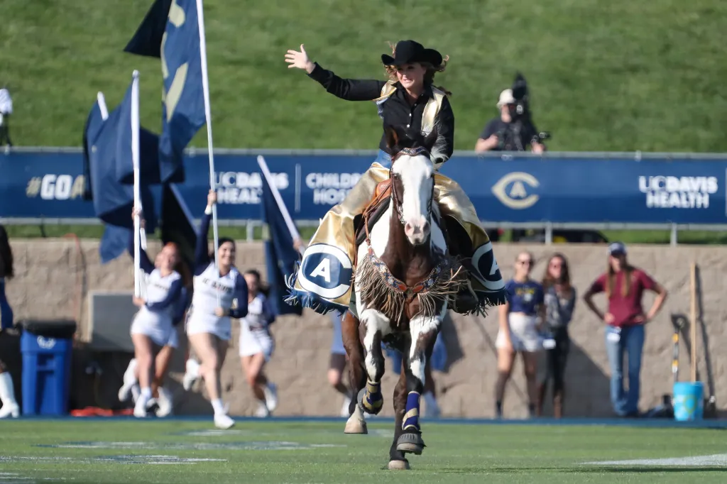 Maggie the Aggie riding Maverick the horse into the stadium.