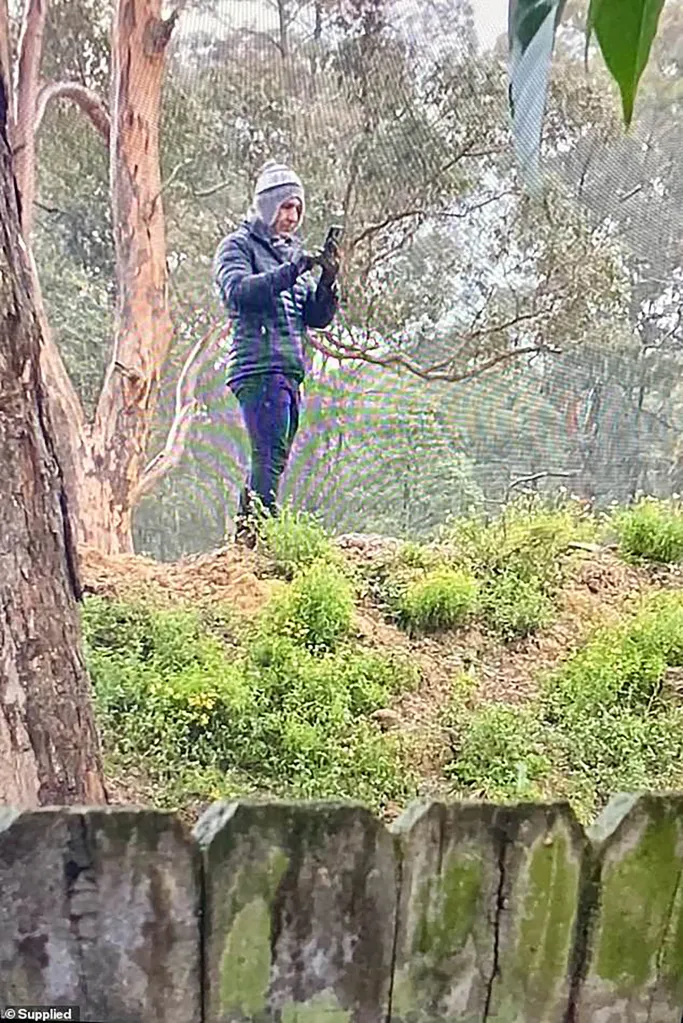 The dispute has been before the courts five times, Perry holds a Personal Violence Order against one of the brothers, and Central Coast Council ordered the walls removed in January — but enforcement stalled after a development application was filed.