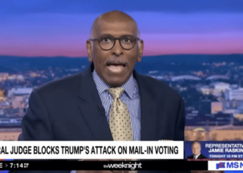 ‘Oh, my lord!’ Michael Steele erupts over ‘ignorant’ Trump admin’s election ‘claptrap’