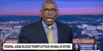 ‘Oh, my lord!’ Michael Steele erupts over ‘ignorant’ Trump admin’s election ‘claptrap’