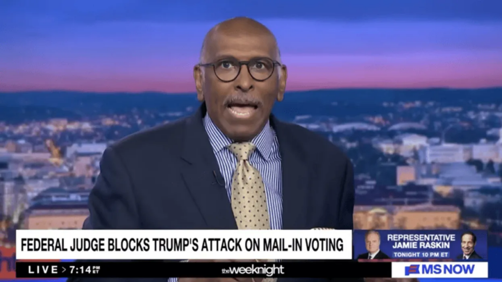 ‘Oh, my lord!’ Michael Steele erupts over ‘ignorant’ Trump admin’s election ‘claptrap’