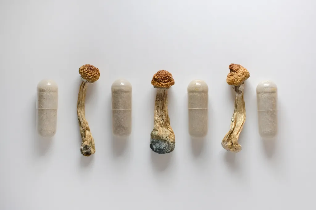 Dry psilocybin mushrooms and capsules with powdered psilocybin on a white background.