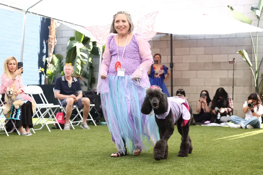 Margo Dare and her dog Shayna, both dressed in fairy costumes, walk on a green lawn at the Dog Fashion Runway.