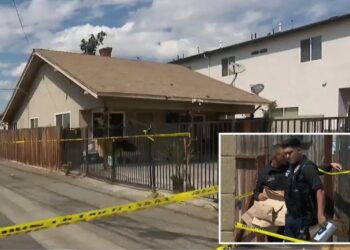 California mom charged with murdering toddler son and staging death as accidental drowning