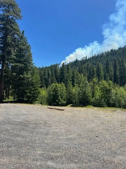 Smoke from a wildfire rises above a tree-covered mountain under a blue sky.