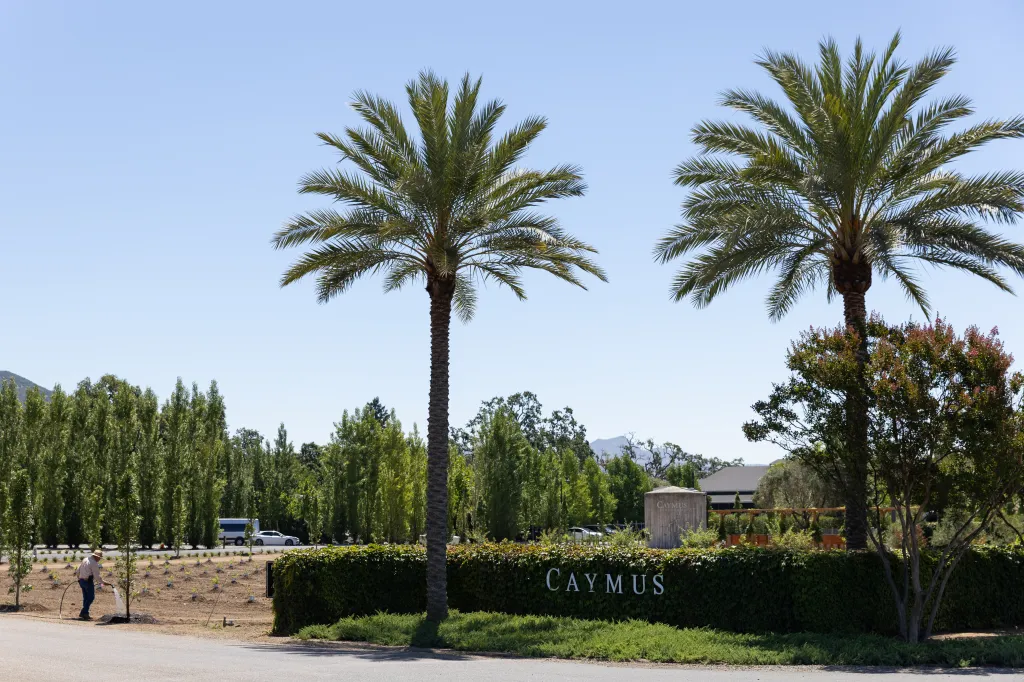 The entrance to Caymus Vineyard, with a man watering young plants and a sign for the winery along a hedge.