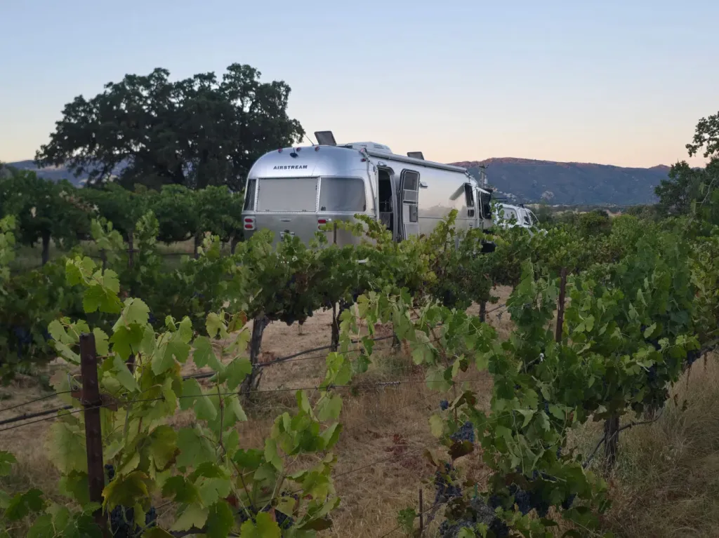 An Airstream RV parked in a vineyard, with mountains in the background.