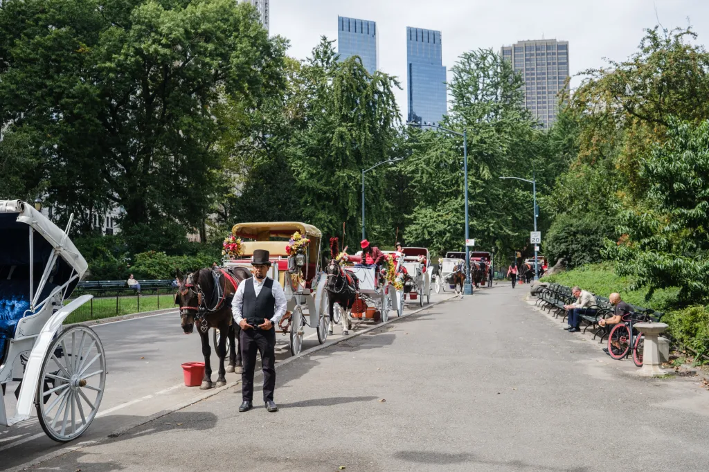 Horse carriage drivers and horse-drawn carriages line a roadway in Central Park.