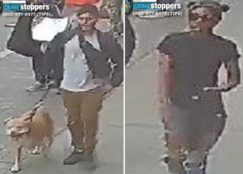 Good Samaritan pepper-sprayed, slashed by violent pair after intervening in NYC ‘dog fight’: cops
