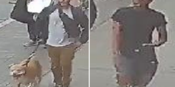 Good Samaritan pepper-sprayed, slashed by violent pair after intervening in NYC ‘dog fight’: cops