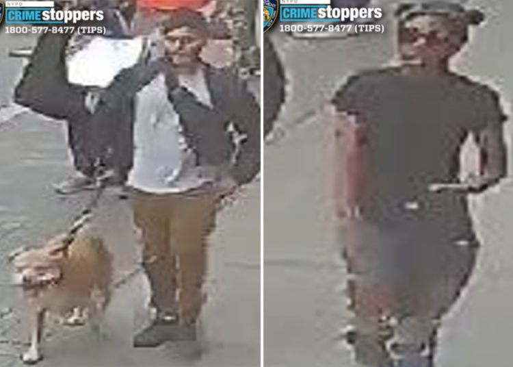Good Samaritan pepper-sprayed, slashed by violent pair after intervening in NYC ‘dog fight’: cops