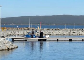 Diver killed by shark off Australian coast — third fatal attack in 3 weeks