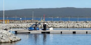 Diver killed by shark off Australian coast — third fatal attack in 3 weeks