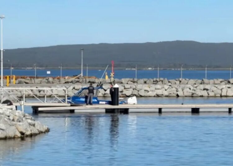 Diver killed by shark off Australian coast — third fatal attack in 3 weeks