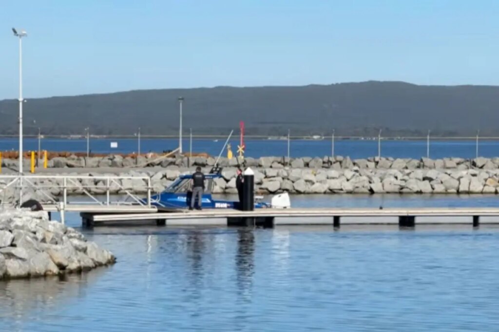 Diver killed by shark off Australian coast — third fatal attack in 3 weeks