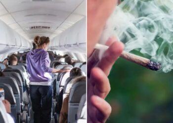 Flying with cannabis? TSA’s new guidance comes with a major health warning