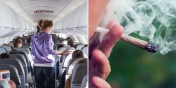 Flying with cannabis? TSA’s new guidance comes with a major health warning