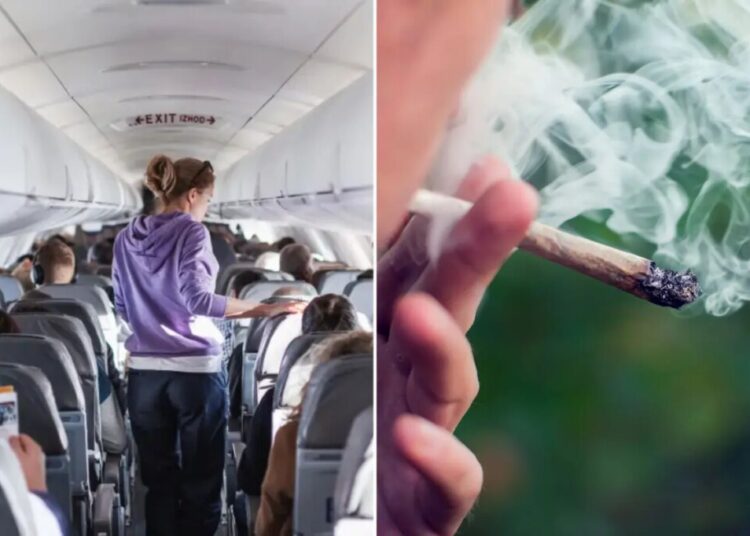 Flying with cannabis? TSA’s new guidance comes with a major health warning
