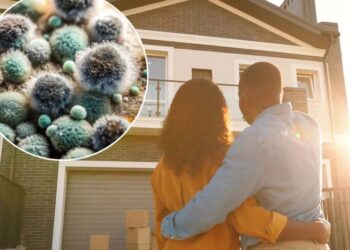 Your home’s air might be making you sick — here’s what to do about it