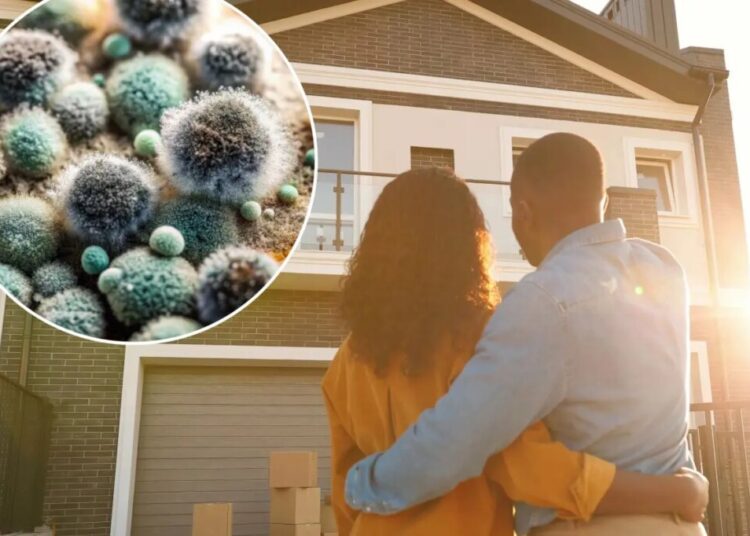 Your home’s air might be making you sick — here’s what to do about it