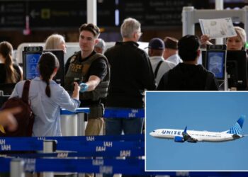 Passenger allegedly boards United Airlines flight with fake boarding pass, forcing plane back to gate