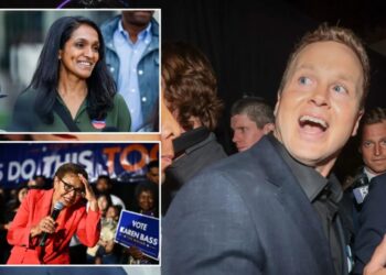 LA voting debacle reflects a democracy in crisis