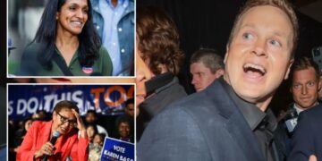 LA voting debacle reflects a democracy in crisis