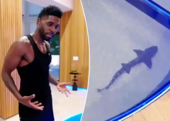 Jason Derulo faces backlash over $1M shark tank inside his California home