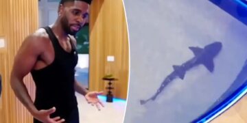 Jason Derulo faces backlash over $1M shark tank inside his California home
