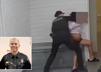 Disturbing footage shows Arizona cop pummeling pregnant woman in handcuffs