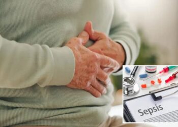 Why do some people get sepsis while others don’t? Scientists point to the gut