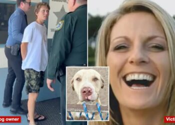 Pit bulls who mauled Florida woman to death attacked another neighbor weeks earlier: court docs