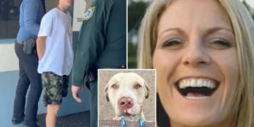 Pit bulls who mauled Florida woman to death attacked another neighbor weeks earlier: court docs