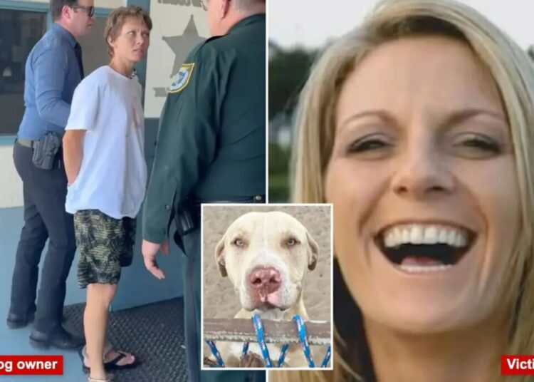 Pit bulls who mauled Florida woman to death attacked another neighbor weeks earlier: court docs