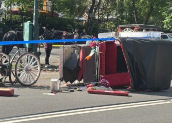 The carriage horse question: Letters to the Editor — June 26, 2026