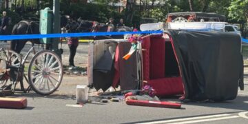 The carriage horse question: Letters to the Editor — June 26, 2026