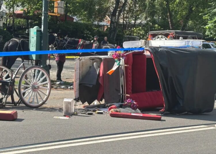 The carriage horse question: Letters to the Editor — June 26, 2026
