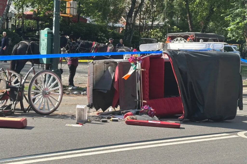 The carriage horse question: Letters to the Editor — June 26, 2026
